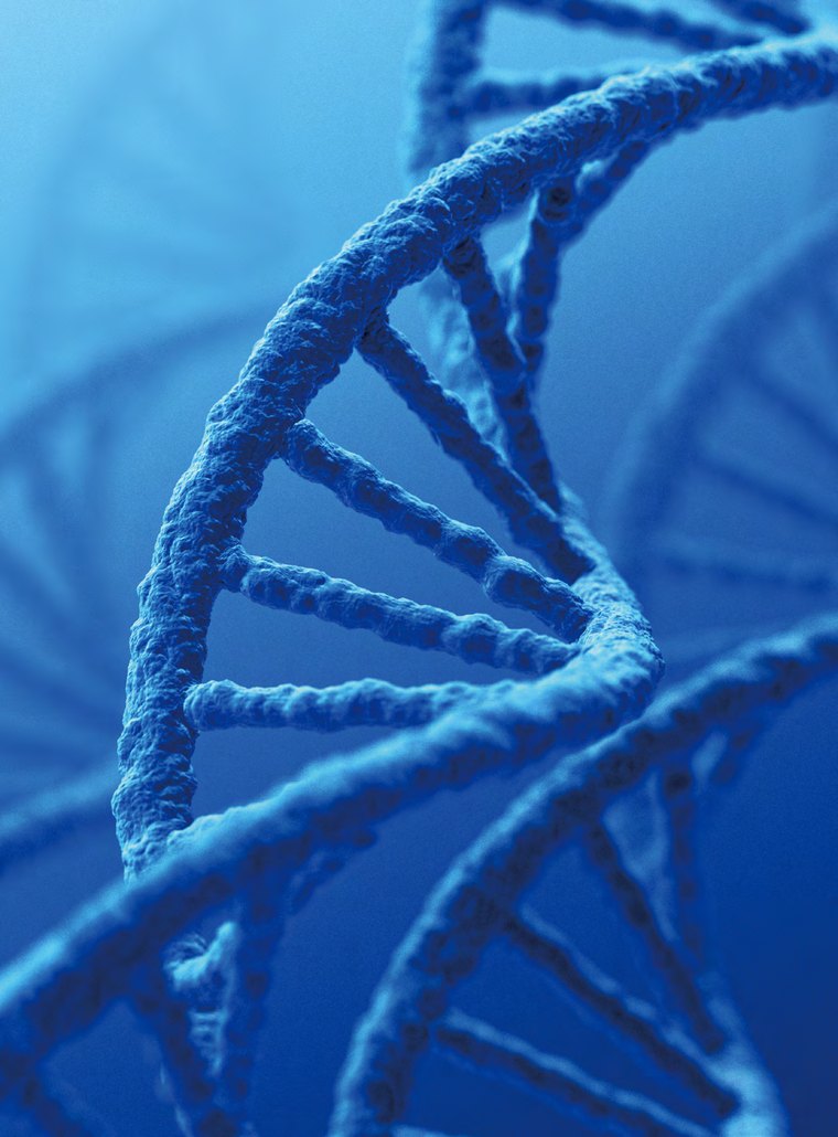 DNA double helix (illustration)