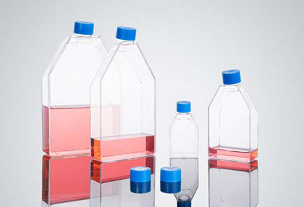Cell culture flasks 25 – 225 cm² (photo)