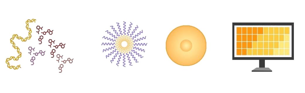 Screening of modified molecules for Hieff Trans™ novel transfection reagents