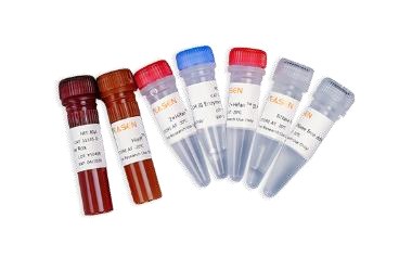 Molecular diagnostic reagents (photo)