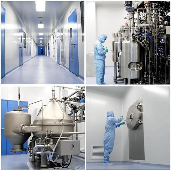 mRNAtools factory – cleanroom corridor, fermentation and purification equipment (photo)