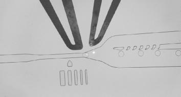 Single-cell sorting chip